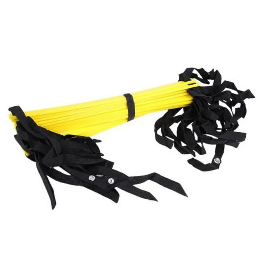 The VZN Hoops Agility Training Ladder